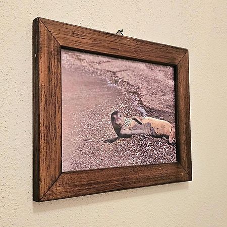 Pension Dimitra ヴォトシ エクステリア 写真