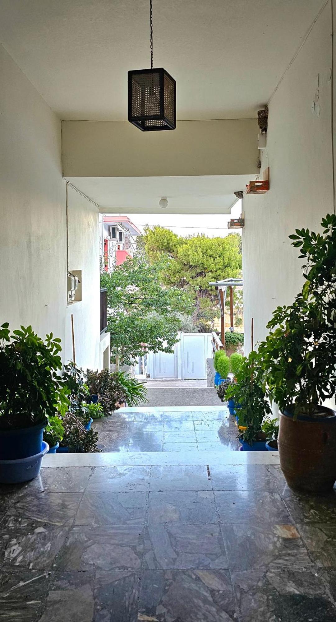 Pension Dimitra ヴォトシ エクステリア 写真