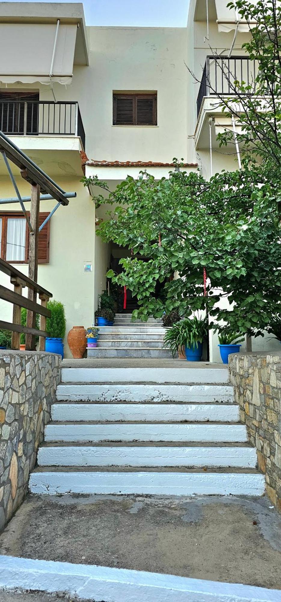 Pension Dimitra ヴォトシ エクステリア 写真