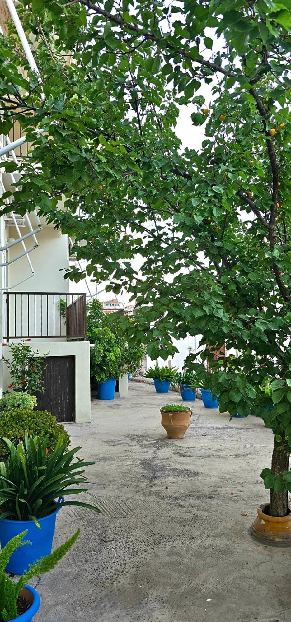 Pension Dimitra ヴォトシ エクステリア 写真
