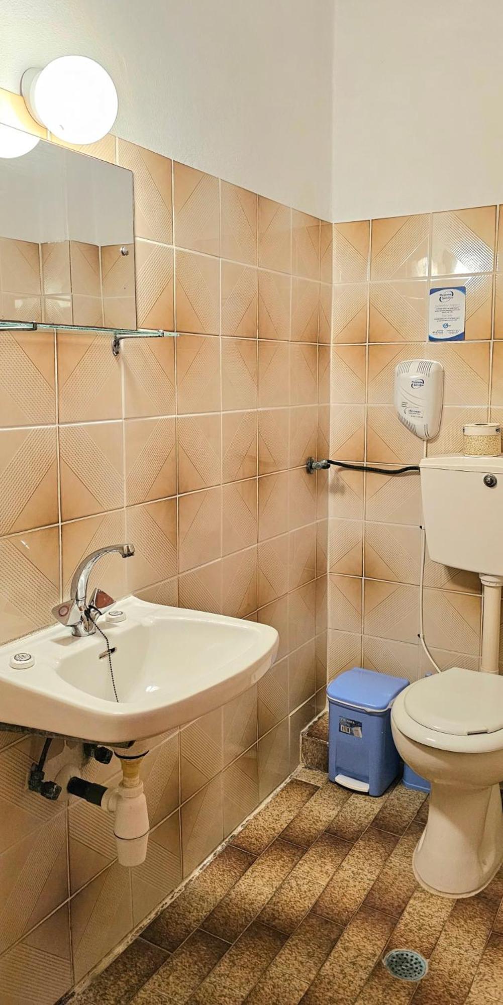 Pension Dimitra ヴォトシ エクステリア 写真